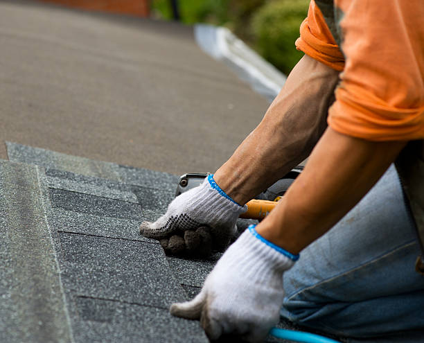 Professional Roofing Contractor in Salt Creek Commons, IN